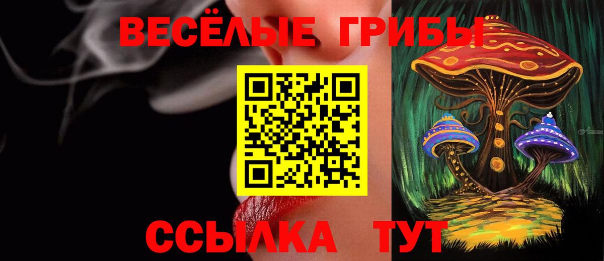 Казань  Галлюциногенные грибы ЛСД  Вход с VPN 