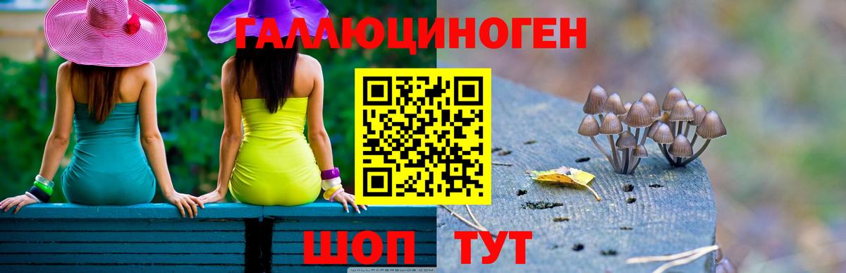 Галлюциногенные грибы GOLDEN TEACHER Казань